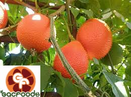 Vietnam Gac Fruit